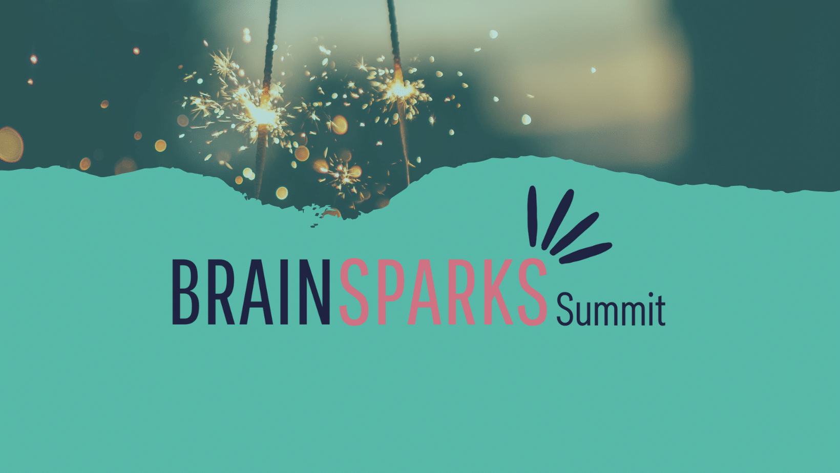 Brainsparks Summit 2024